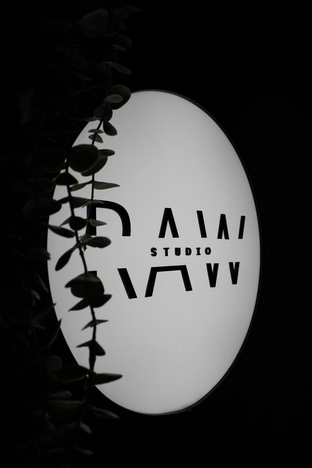 RAW Studio portretisanje